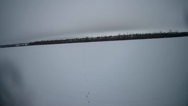 ПОГОДА ДЛЯ ОХОТЫ НА ЗАЙЦА - ТО ЧТО НАДО смотреть онлайн