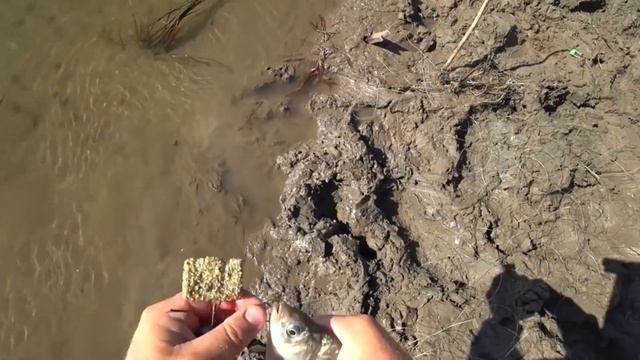 Просто так.Дамбраускене Ольга. смотреть онлайн