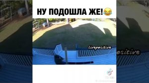 наступил на грабли😂🤣🥲