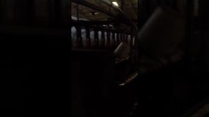 Сельское хозяйство. Дания. Ферма.коровы!!!