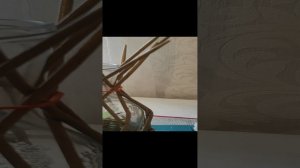 ВАЗА ИЗ ЛОЗЫ