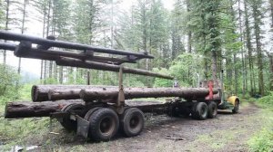 Pomeroy Farm Steam donkey 4