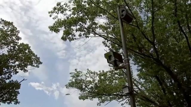 Practice of purposely obscuring license plates going high-tech смотреть онлайн