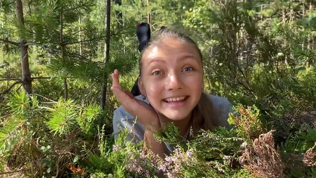 "Вереск" Агния Барто смотреть онлайн