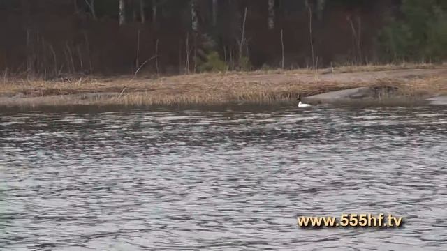 Аландские острова Часть 2 Рыбачьте с нами смотреть онлайн