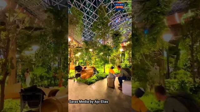 Indoor Forest Garden in Hamad International Airport Doha  #shortvideo #shorts #garden