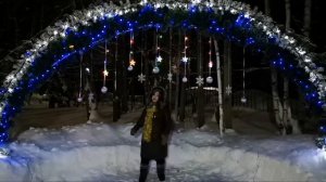 Эржена Даржалова  Новогодние игрушки