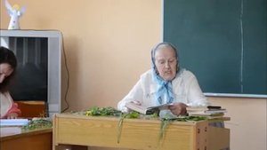 Будра плющевидная лекарственное растение