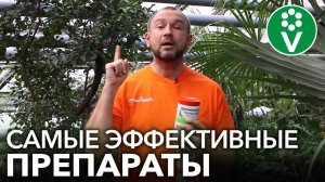САМЫЕ ЭФФЕКТИВНЫЕ ПРЕПАРАТЫ ДЛЯ ЗДОРОВОЙ РАССАДЫ и повышения плодородия! НИКАКОЙ ХИМИИ!