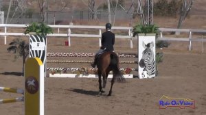 075S Katy Johnstone on Ballingowan Ginger SR Training Show Jumping FCHP October 2016