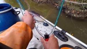 о.Обь! Рыбалка на Перемет! Ловим Щуку и Судака! Отличный Улов!