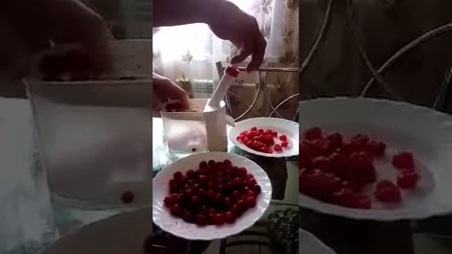 Отделитель косточек  из вишни и черешни