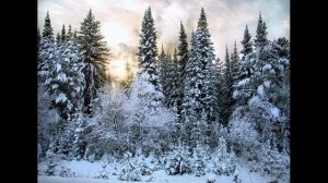 ЛЮБОВЬ СКВОЗЬ ВЕКА. ПРОДОЛЖЕНИЕ. 2-15