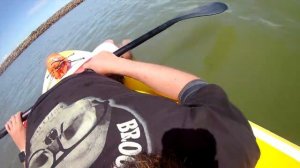 HYDROFORCE Cruiser Tech Solo SUP Around Jackson's Bay