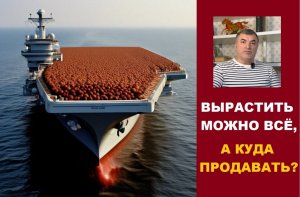 КУДА ПРОДАВАТЬ ФУНДУК?