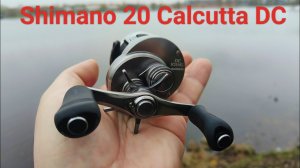 Shimano 20 Calcutta 101 DC