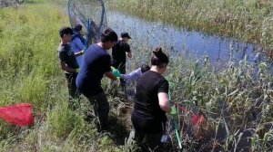 Рыбоохранные мероприятия - спасение молоди рыбы 02.06.2022