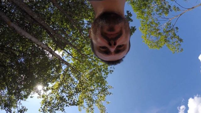 Комбик 31.07.2016 Приветствие!!! смотреть онлайн