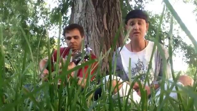 Грушевое дерево смотреть онлайн