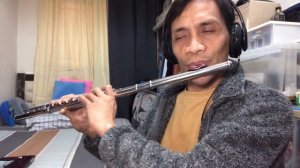 “Happy New Year” by ABBA (Flute Cover)