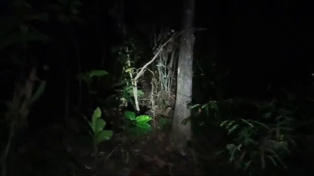 PENCARIAN CREATOR YOUTUBE HILANG MASUK KE KERAJAAN SILUMAN ULAR смотреть онлайн