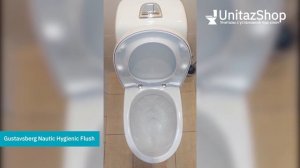 Унитаз с установкой и доставкой под ключ Gustavsberg Nautic Hygienic Flush от UnitazShop