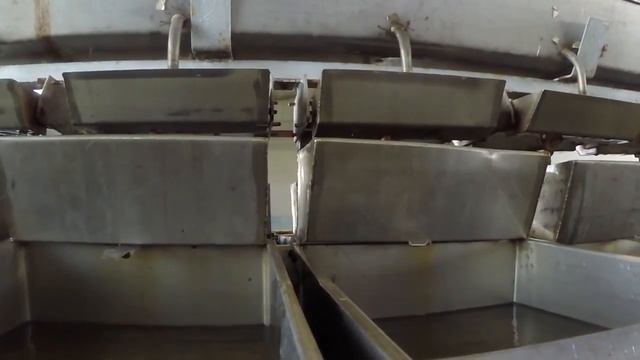 Саратовская стерлядь.