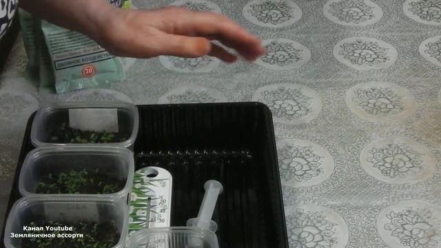 ПОКУПКИ ДЛЯ САДА СЕЗОН 2020 Г смотреть онлайн