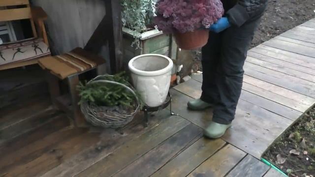 Обзор новых подставок под горшки + Зимние букеты из очитка смотреть онлайн