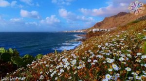 Медитация "Соединение с Высшим Я"