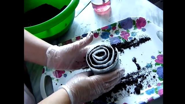 Сеем ПЕРЕЦ ИЗ СЕМЯН без замачивания! Сажаем перец в улитку. рассада перца