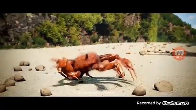 Песня танцует крабика смотреть онлайн