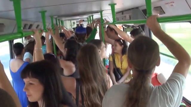 SWD - Выйду ночью в поле с конем в автобусе смотреть онлайн