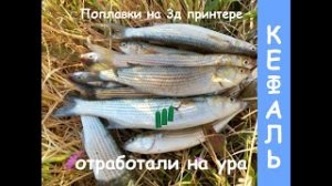 КЕФАЛЬ! Моя первая морская рыбалочка! разузнали рабочую снасть