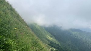 Панорама. Вид со смотровой площадки.