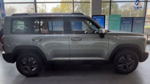Haval Raptor PHEV - Borderless Car