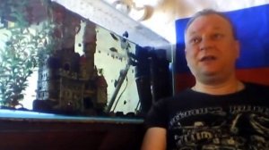 Мутная вода в аквариуме Что делать?