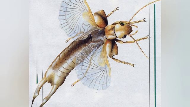 Аудиосказка "Почему кузнечик на людей обиделся" ||| Музейные сказки о природе смотреть онлайн