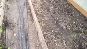 Наконец то настал этот момент😋 Перекопали теплицу💪 Чеснок взошел🧄Жизнь в своем доме на Кубани🧡