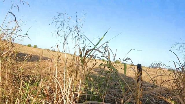 Охота на вяхиря/ Лучшая охота в моей жизни