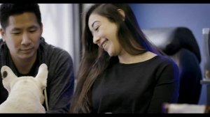 Набор для подрезки когтей DREMEL® 7020-PGK (Dremel Pet Nail Grooming) F0137020JD