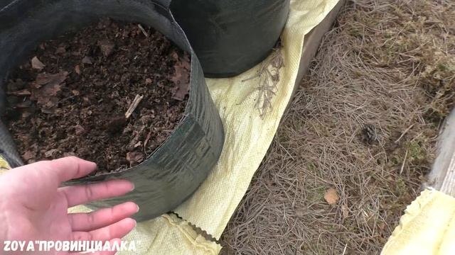 Перцы/Томаты/ Баклажаны/ Сажаю в мягкие контейнеры/ Рассада #весна #деревня #рассада #огород смотреть онлайн