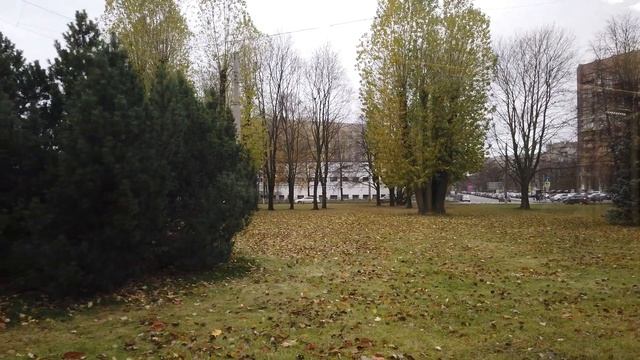 Russia, St Petersburg Tram Ride - Hidden Camera Passengers смотреть онлайн