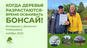 Когда деревья разрастаются - время осваивать бонсай!
