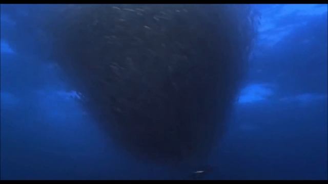 Тайны Мирового океана смотреть онлайн