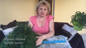 КУДРЯВОСТЬ УКРОПА . ИЗБЕГАЙТЕ !