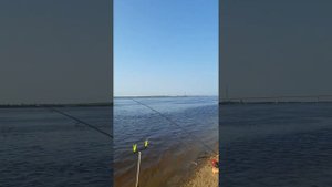 Рыбалка. Амур. Хабаровск