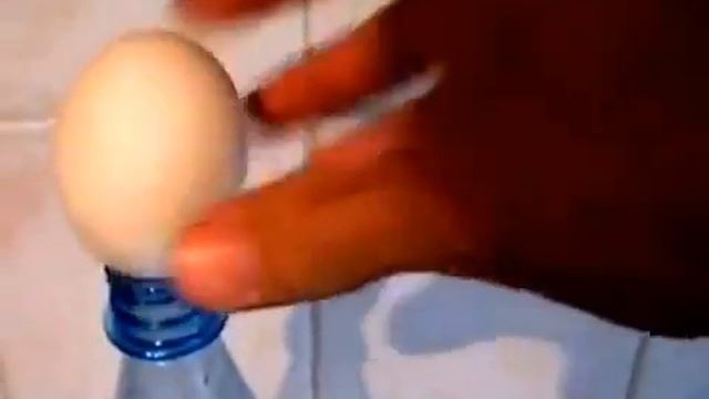 ФОКУС! Как засунуть яйцо в бутылку!!! смотреть онлайн