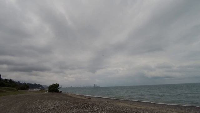Гордо реет буревестник