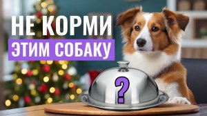 ЭТИ ПРОДУКТЫ ОПАСНЫ для собак! Какая "человеческая" ЕДА НЕ ПОДХОДИТ собакам?